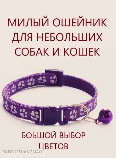 Ошейник