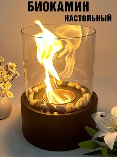Биокамин настольный ANYSMART