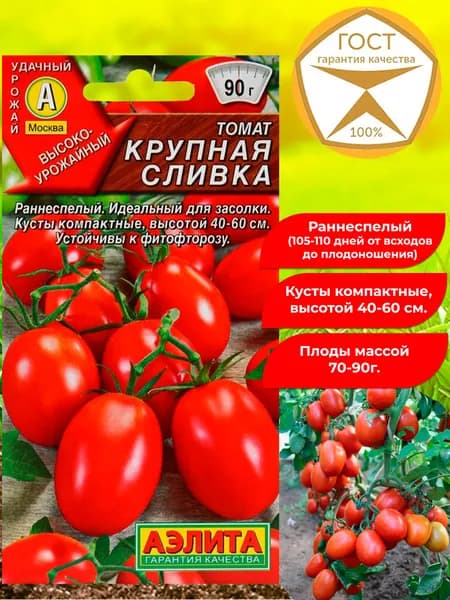 Семена томата Крупная Сливка. Томат низкорослый, ультраскороспелый. Отличные вкусовые качества, ароматный.