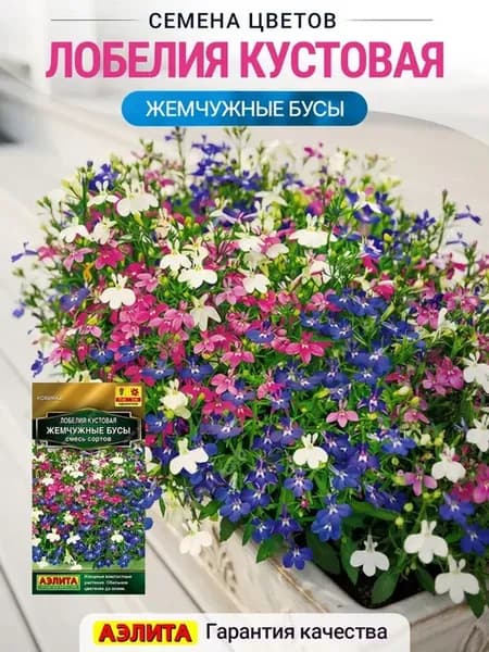 Семена Лобелия кустовая Жемчужные Бусы