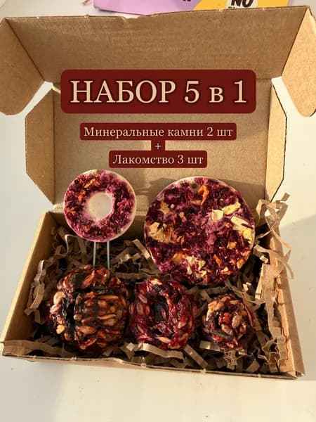 Лакомство для крыс, хомяков, мышей и шиншилл, набор 5 в 1, зерновое печенье с овощами, минеральный камень с овощами и фруктами , лакомство для грызунов