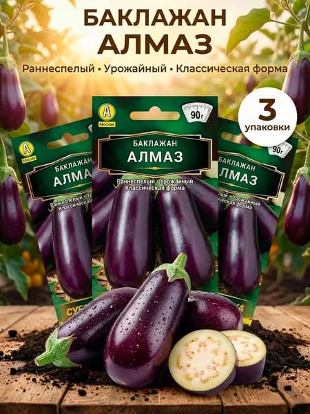 Семена баклажана Алмаз для открытого грунта и теплиц