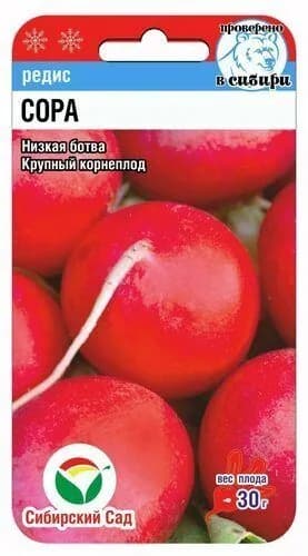 Редис Сора F1 0,5гр (Сиб Сад)