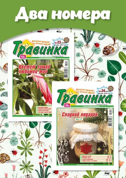 Травинка. Комплект из двух номеров за декабрь 2025 г.