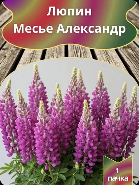 Семена Люпин Многолетний, многолетний 15 семян