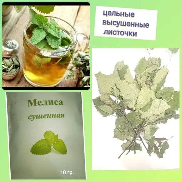 мелисса