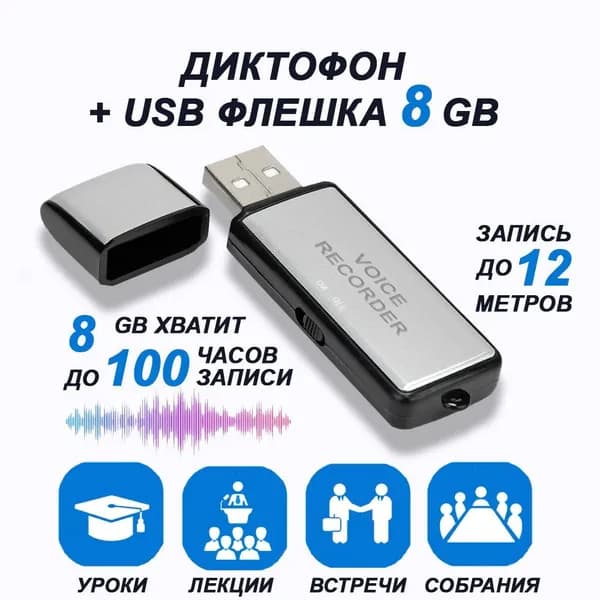 Цифровой аудио мини диктофон для записи голоса и разговоров + USB флешка 8 ГБ