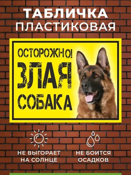 Табличка Осторожно злая собака на забор