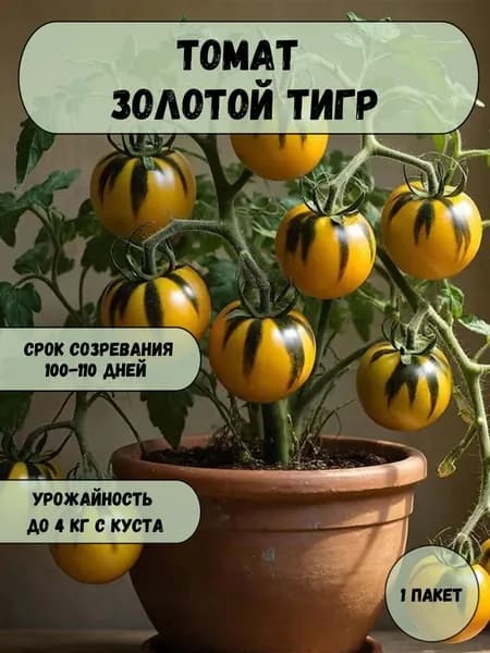 Томат Золотой тигр, семена 10 шт