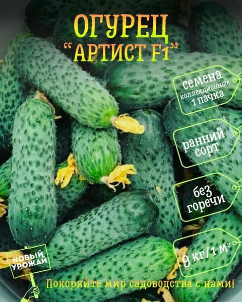 Огурец Артист F1, коллекционные семена, 10 шт.