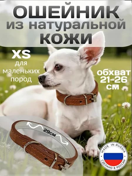 Ошейник для собак кожаный, для маленьких пород