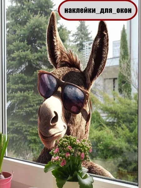 Забавные солнцезащитные очки donkey home glass window decoration украшают стены наклейками