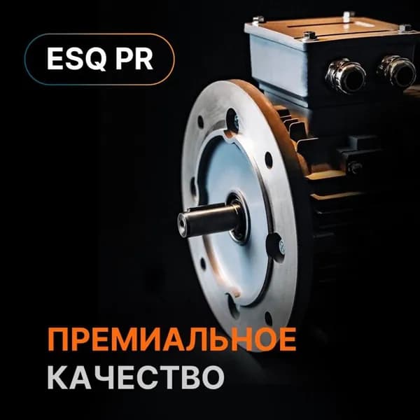 Электродвигатель трехфазный ESQ PR 100 S4 GST-Б1-S12-IE2 IM 2081 3 кВт, 1500 об/мин