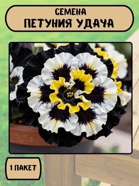 Петуния Удача, семена 10 шт