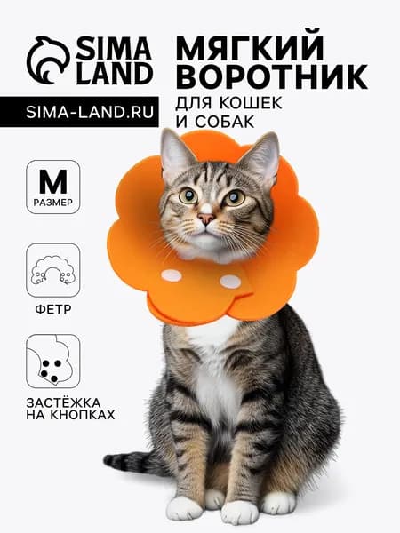 Ветеринарный воротник из фетра "Ромашка", размер M, оранжевый