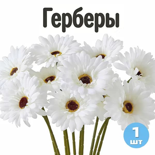 Стабилизированные цветы Гвоздика, Гербера, 13 гр, 1 шт
