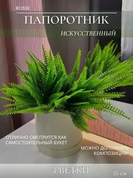 Флористические вставки папоротник 3 ветки