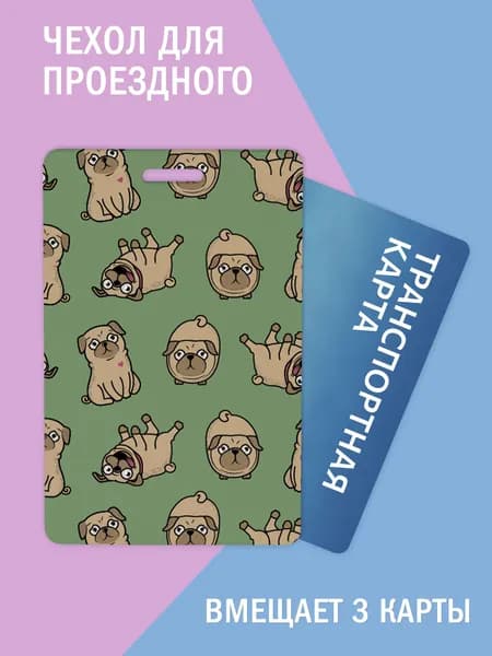 Чехол, обложка для проездного и карт