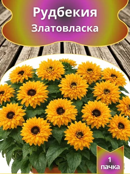 Рудбекия Златовласка , семена 10 шт.