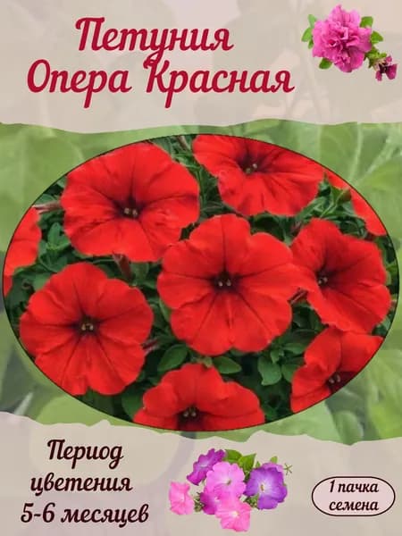 Петуния Опера Красная, семена, 10 шт.