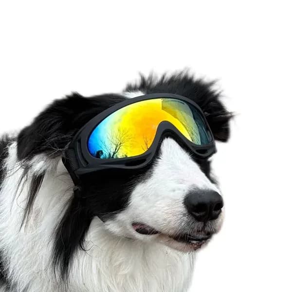 Защитные очки для собак с двойными ремнями X400