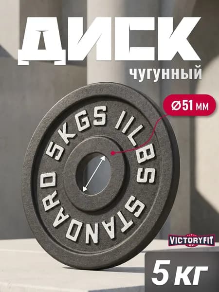 Диск 51 мм. чугунный окрашенный 5 кг (модель: D4)