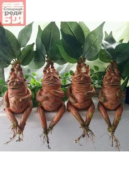 Статуя из смолы Мандраке
