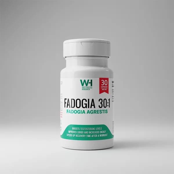 Well-Health Research Fadogia 30:1 Фадогия 30капсул 300мг
