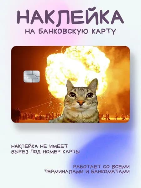 Наклейка на карту с котиками кот не оборачивается на взрыв