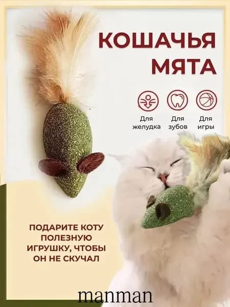 Кошачья мята