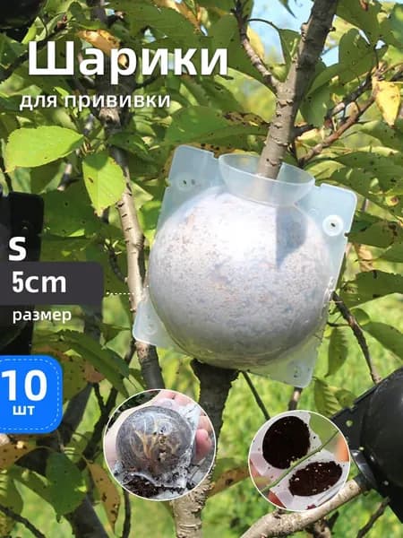 Фитомодуль 6.5 см x 5.5 см 10 шт