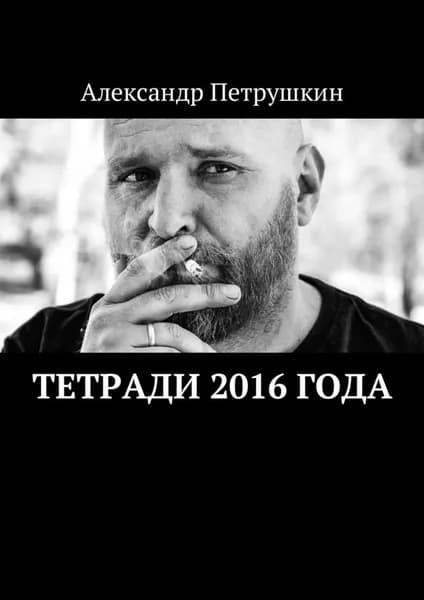 Тетради 2016 года | Петрушкин Александр | Электронная книга