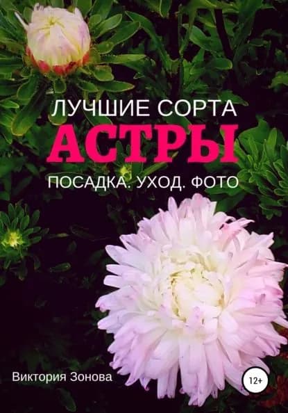 Астры. Лучшие сорта | Зонова Виктория | Электронная книга