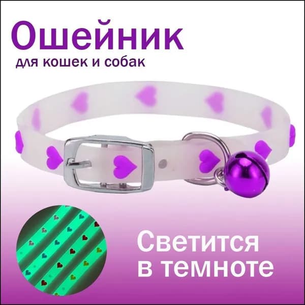 Ошейник