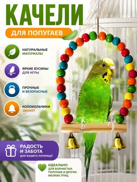 Качели для попугаев
