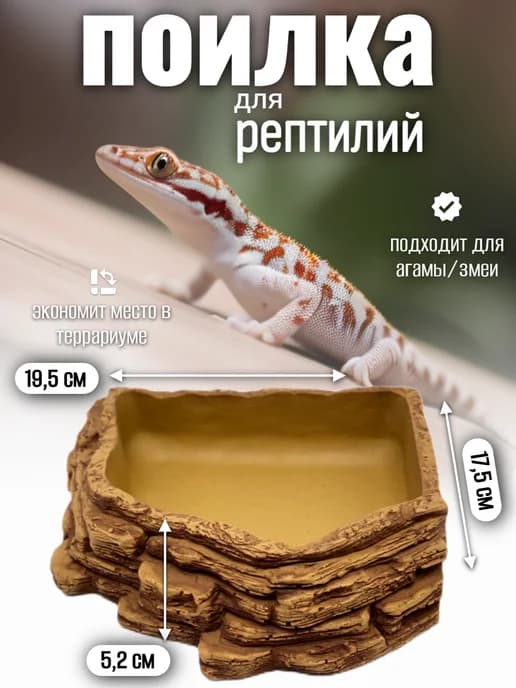 Кормушка поилка для рептилий угловая
