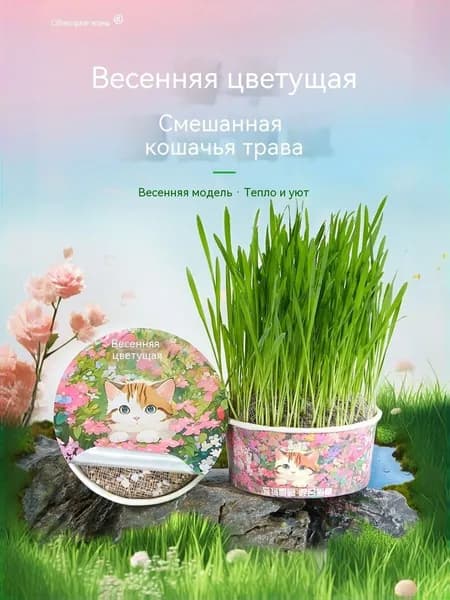 Набор для выращивания травы для кошек "Весна" Трава для выведения шерсти, улучшения пищеварения
