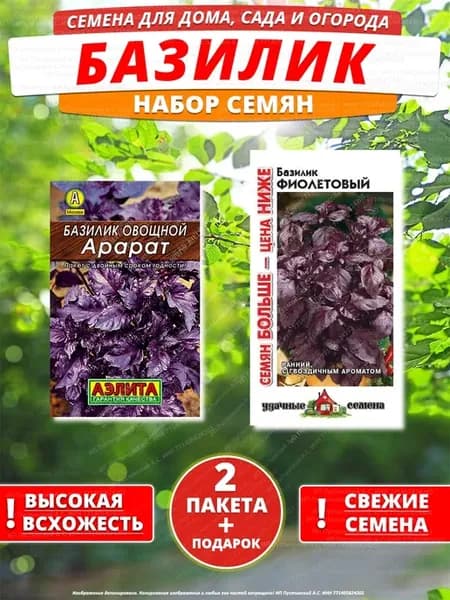 Семена базилик для дома сада посадки