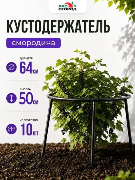 Кустодержатель садовый для смородины, крыжовника 64 см, 10шт