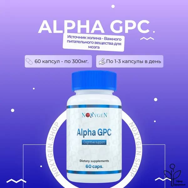 Alpha GPC 60 капс. ноотроп, эйфоретик, энергетик