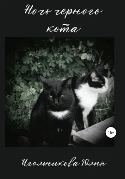Ночь черного кота | Игольникова Юлия Викторовна | Электронная книга