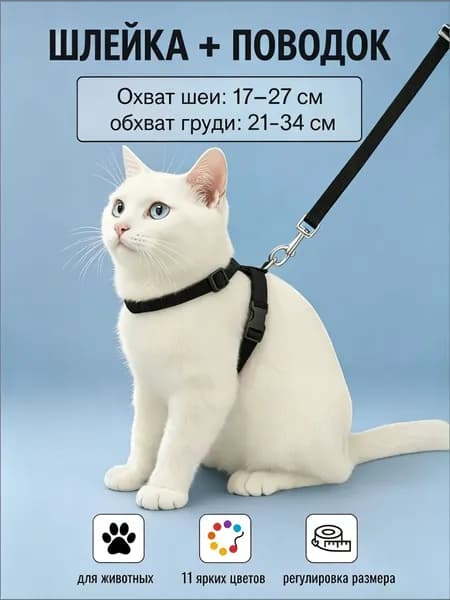 Шлейка