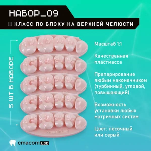 Набор#9 Модели для реставрации зубов/5 штук/16 зубов/ тренировочные модели