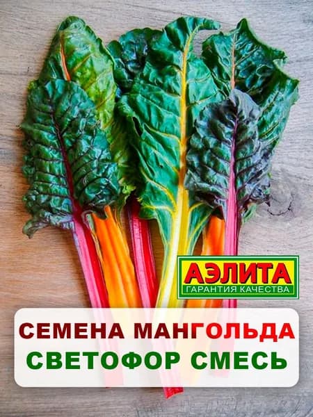 Семена мангольд "Светофор", смесь, 1 г, для дома, дачи и огорода, мангольд из семян, в открытый грунт