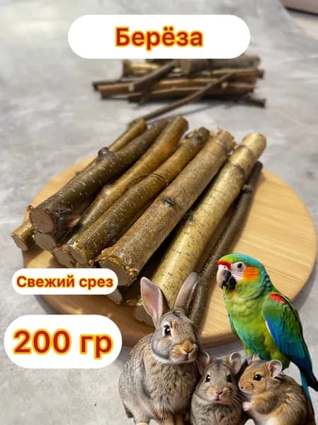 Веточки для грызунов из веток березы, лакомство для грызунов, 200 гр