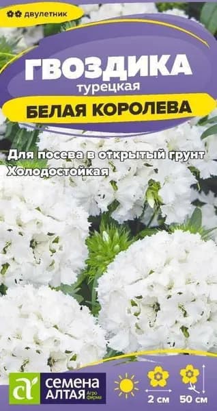 Семена Цветы Гвоздика турецкая Белая Королева/Семена Алтая/цп 0,1 гр. двулетник