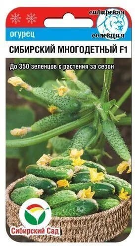 Огурец СИБИРСКИЙ МНОГОДЕТНЫЙ