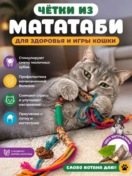 Палочки мататаби для кошек натуральная кусачка для зубов и игрушка