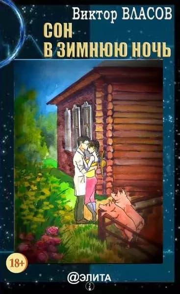 Сон в зимнюю ночь | Власов Виктор | Электронная книга