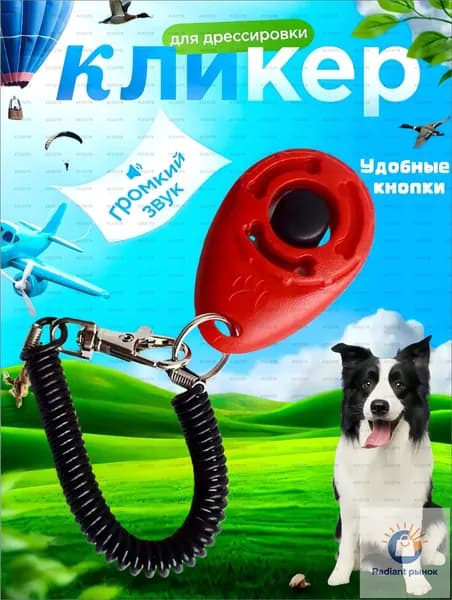 Аксессуары для дрессировки